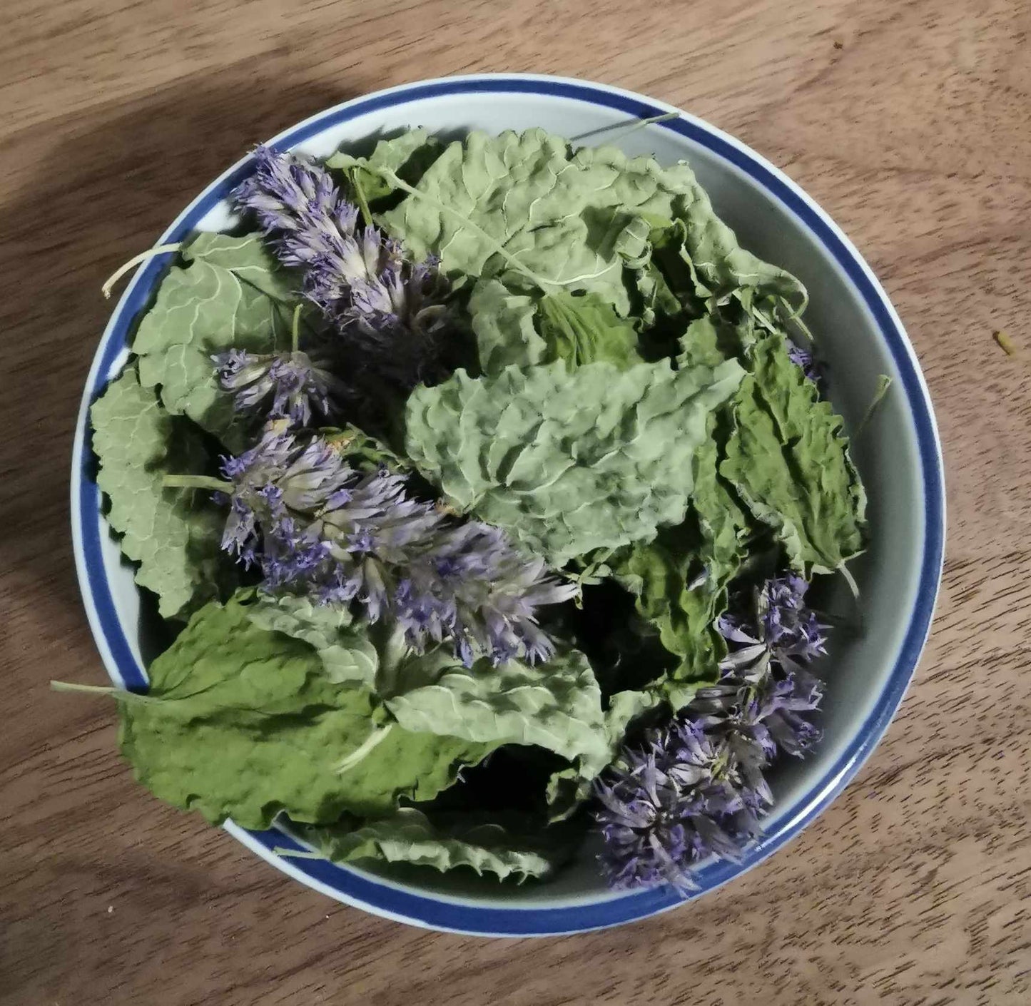 Agastache - Les Semences La Campagnarde