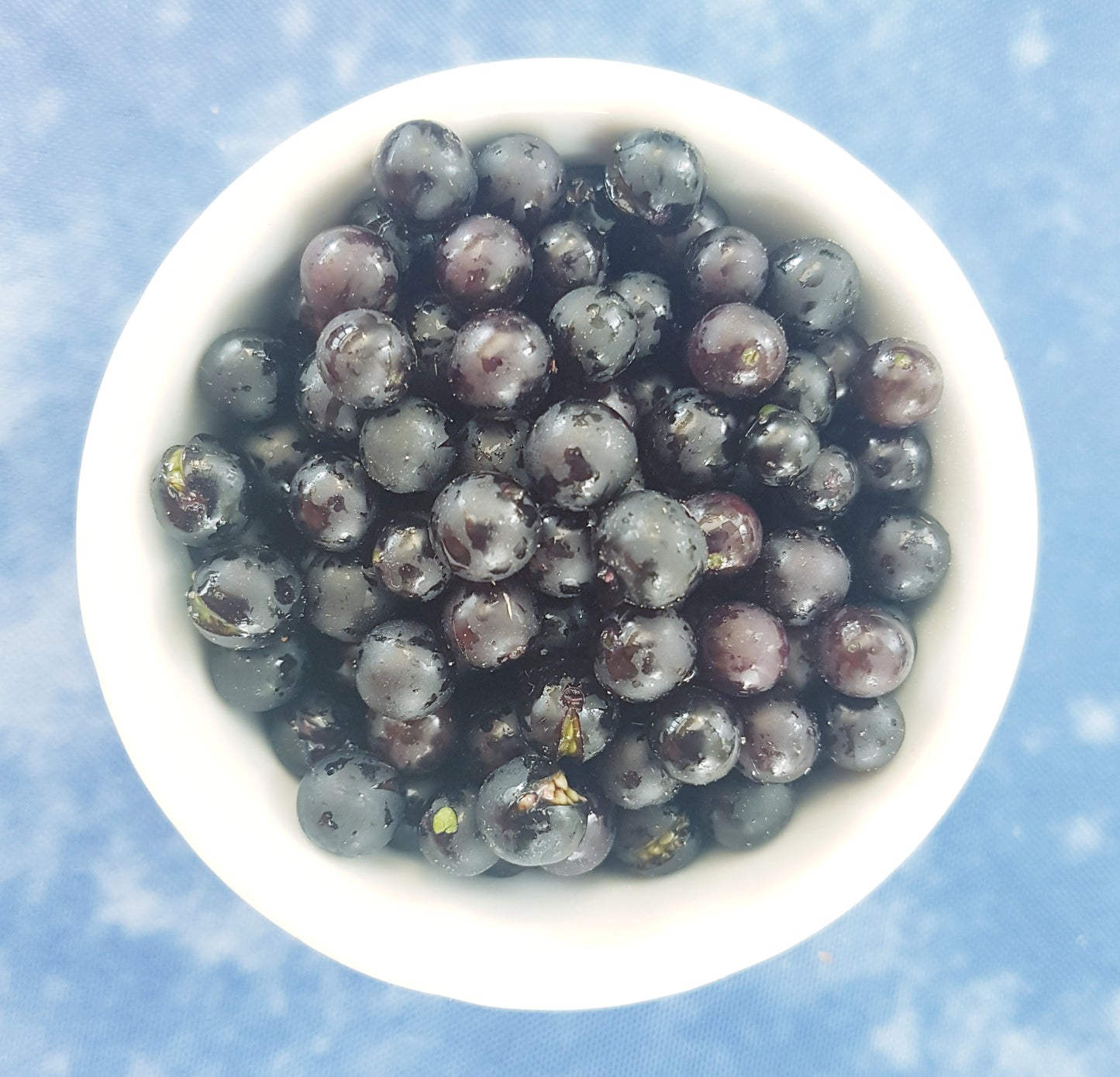 Semences de morelle Sunberry - Les Semences La Campagnarde