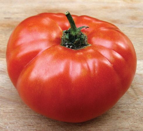 Semences de tomate Dix Doigts de Moskvich - Les Semences La Campagnarde