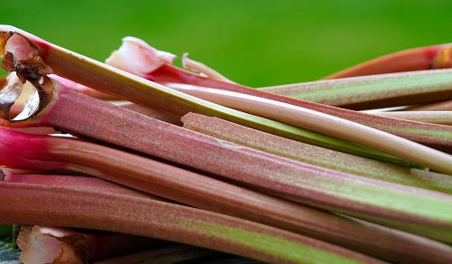 Rhubarbe