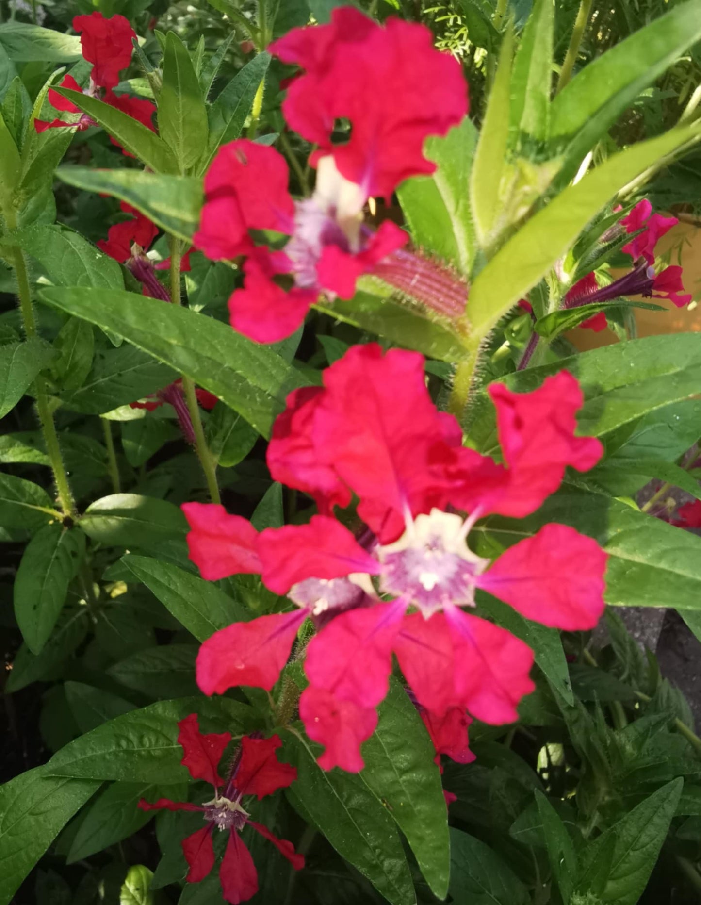 Mixed Cosmos