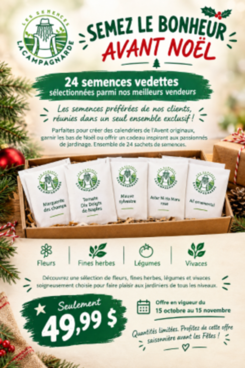 Semez le bonheur avant Noël - les 24 semences préférées de nos clients
