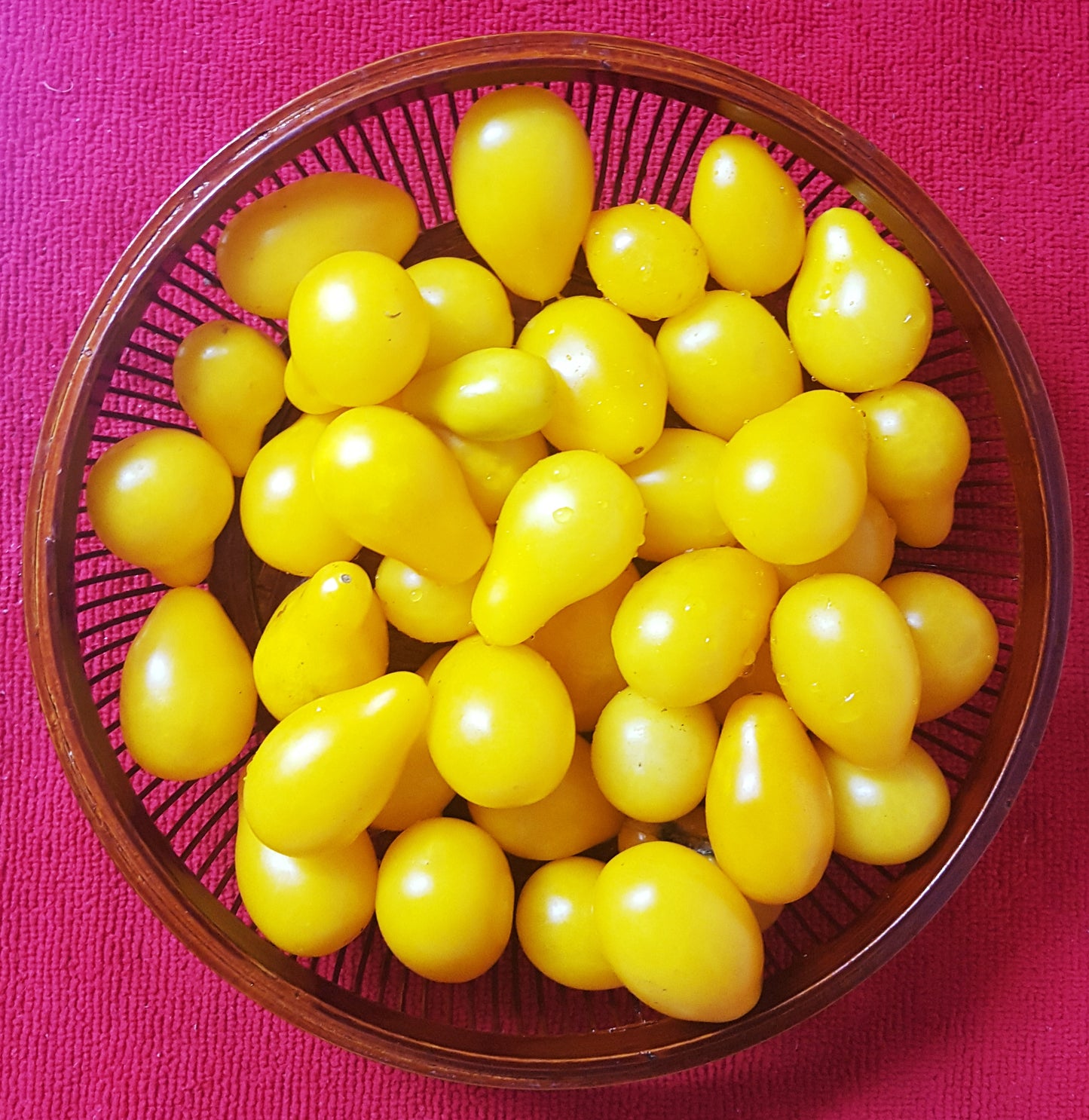 Semences de tomate Dix Doigts de yellow pears - Les Semences La Campagnarde